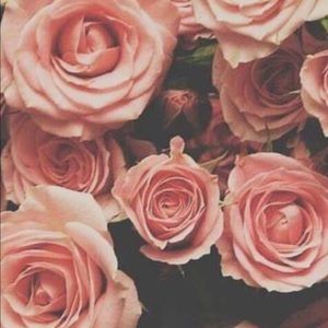 Meet your Posher, Paulina